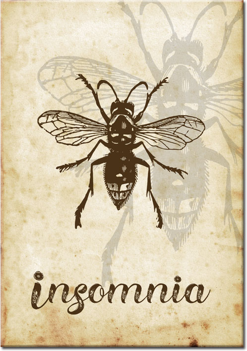 plakaty z muchą