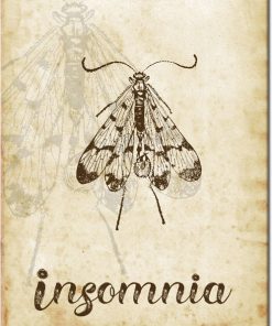 plakaty z owadami