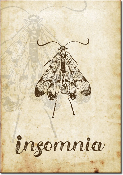 plakaty z owadami