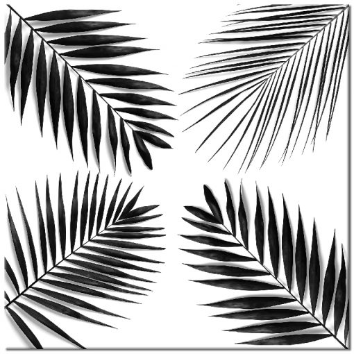 Plakat czarno-biały z motywem tropikalnym