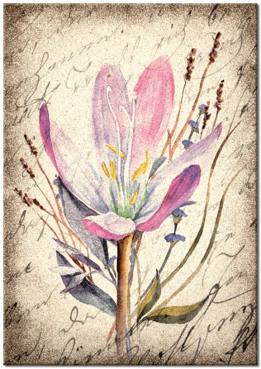 Plakat vintage z fioletowymi kwiatami