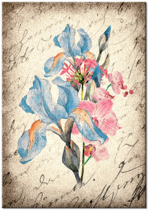 Plakat w stylu vintage z motywem kwiatu irysa
