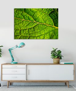 Plakat z zielonym liściem do salonu