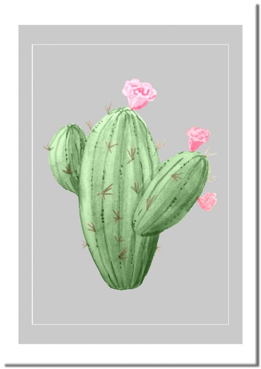Plakat z kwitnącym kaktusem