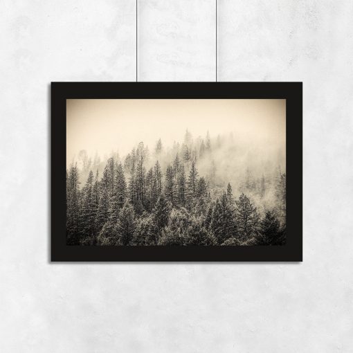 Plakat z motywem lasu i mgły