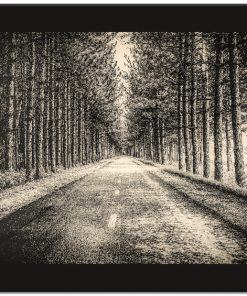 Plakat z motywem drzew i drogi