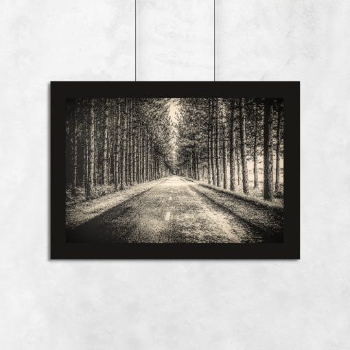 Plakat z drogą w lesie