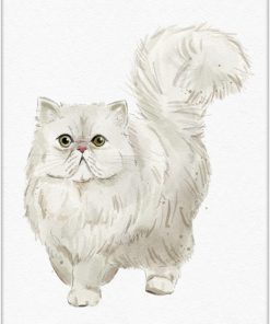 Plakat z ilustracją kota perskiego