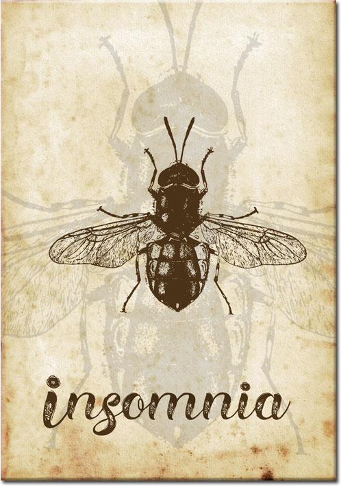 motyw owada jako plakat