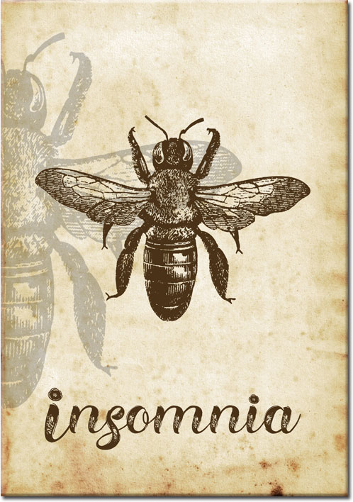 plakat z motywem pszczoły