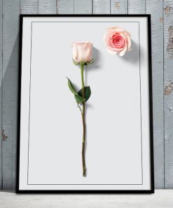 plakat z motywem róży