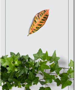 plakat z motywem liści