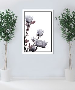 plakaty z magnolią