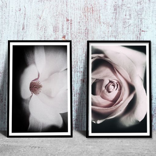 plakaty z motywem różowych kwiatów
