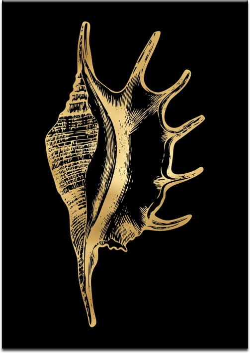 Złoty plakat z rysunkiem muszelki