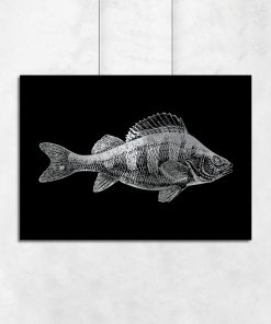 plakaty z rybami