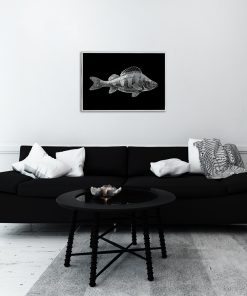 plakaty z rybą