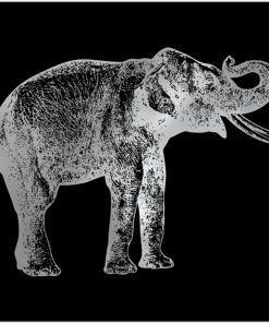 plakaty ze słoniem