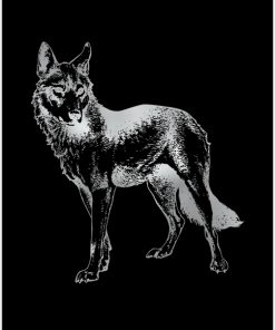 plakaty z wilkiem