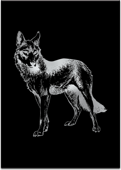 plakaty z wilkiem