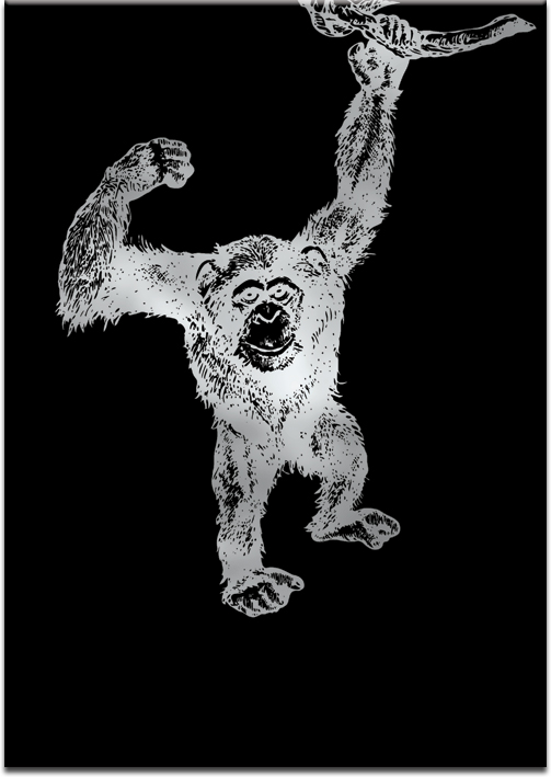 plakaty z małpą