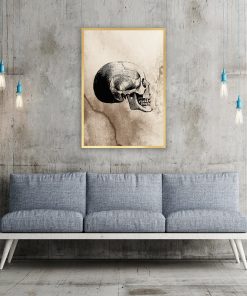 Plakat szkic ludzkiej czaszki