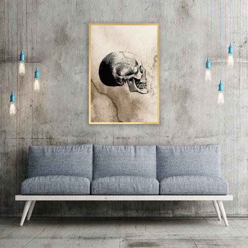 Plakat szkic ludzkiej czaszki