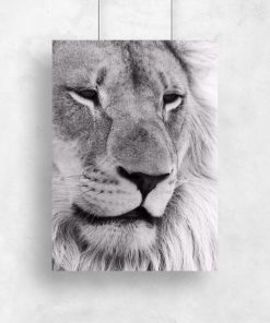 Plakat z lwem