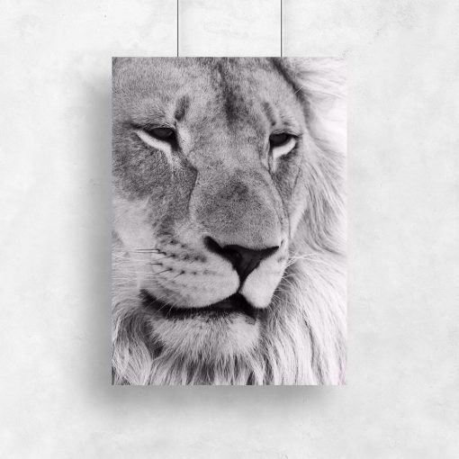 Plakat z lwem