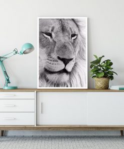 Plakat z motywem lwa