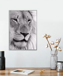Plakat motyw lwa