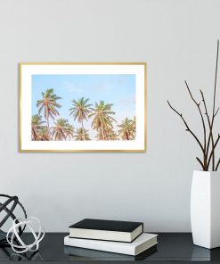 Plakat palmy