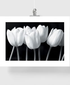 plakat z białymi tulipanami na ścianę do salonu