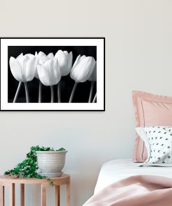 plakat do sypialni z tulipanami