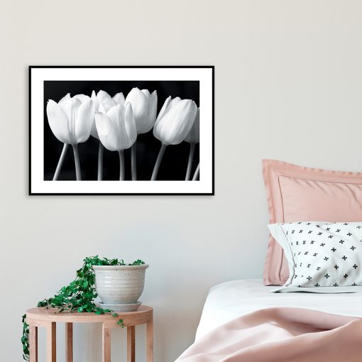 plakat do sypialni z tulipanami