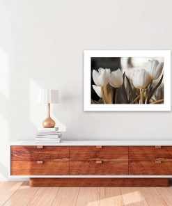 plakat z kwitnącymi tulipanami do salonu