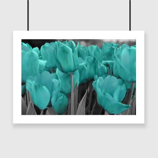 plakat do sypialni z motywem tulipanów