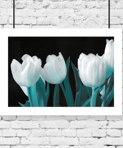 plakaty tulipany