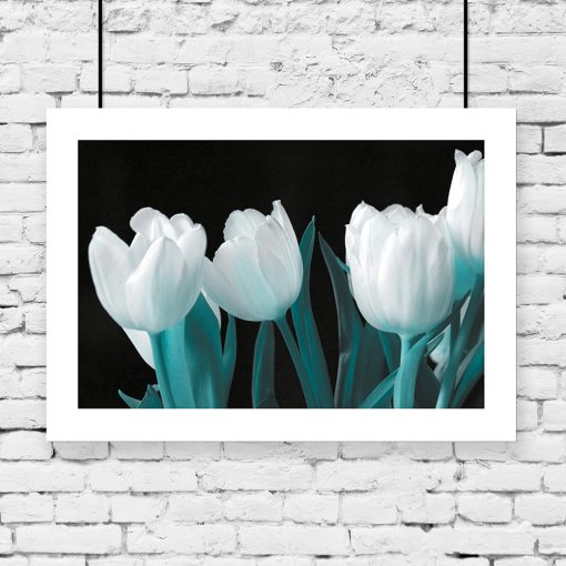 plakaty tulipany