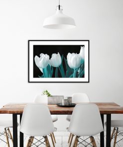 tulipany z czarnym tłem