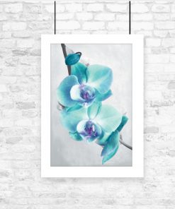 orchidea na plakacie