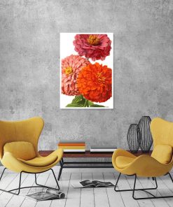 plakat botaniczny z pomarańczowymi kwiatami