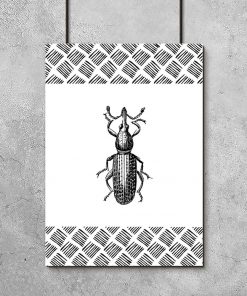 plakat przedstawiający owada