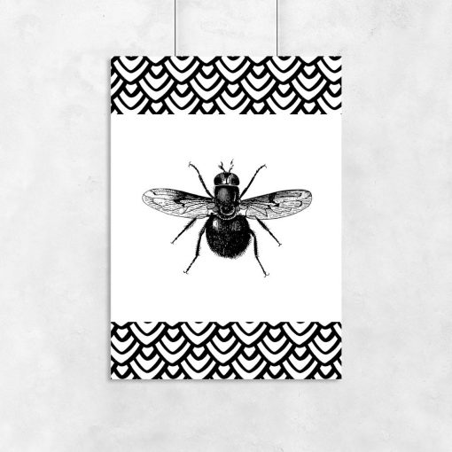 plakat przedstawiający muchę