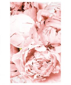 plakat różowy z motywem kwiatów