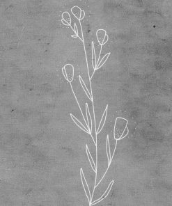 plakat z liniowym rysunkiem rośliny