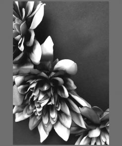 Plakat z kwiatami czarno-białymi