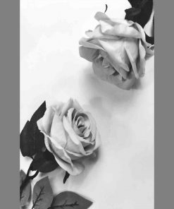 Plakat z dwiema różami