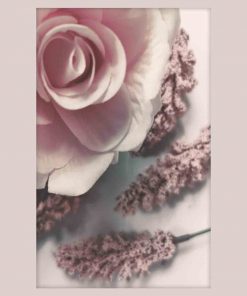 Plakat - Róża na tle wrzosu