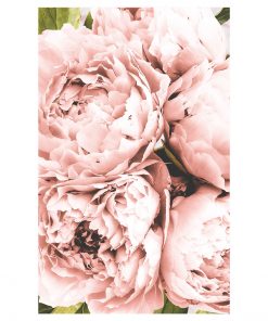 Plakat z kwiatem piwonii